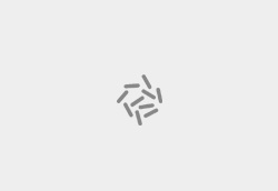 顆粒級(jí)CMC